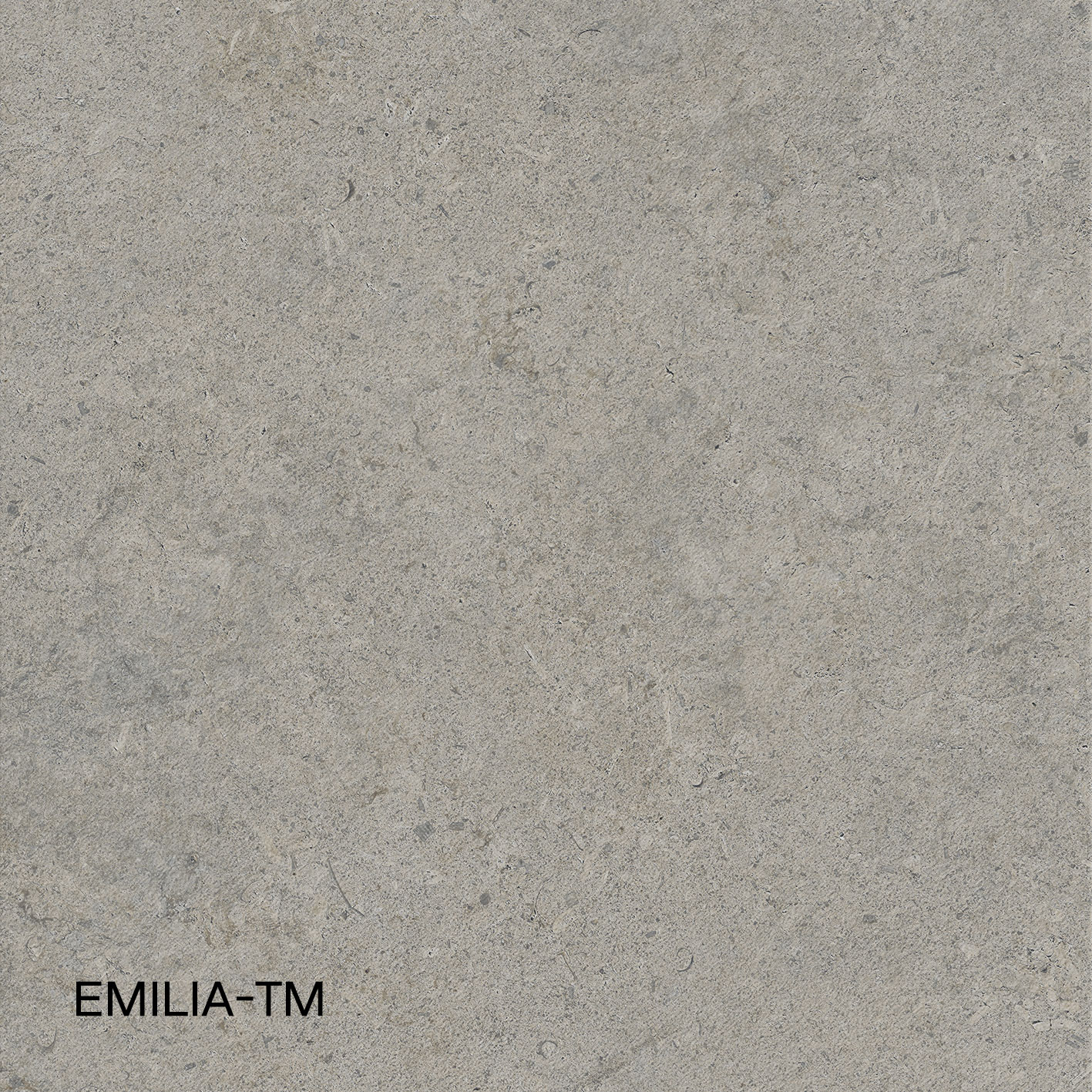 EMILIA-TM 6120